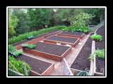raised beds ready to plant