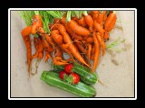 fresh beautiful carrots